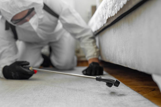 Professional Mosquito Control technician working in Moline, IL