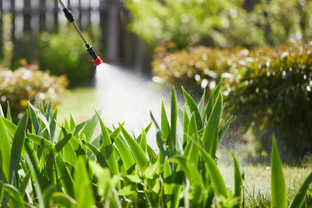 24/7 Emergency Mosquito Control experts in Moline, IL