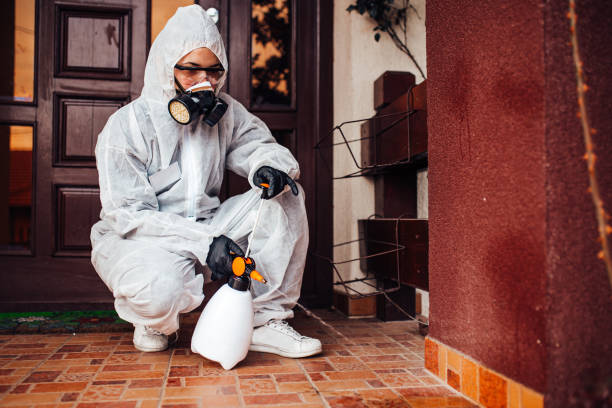Reliable Mosquito Control contractor in Moline, IL by Nex Pest Control